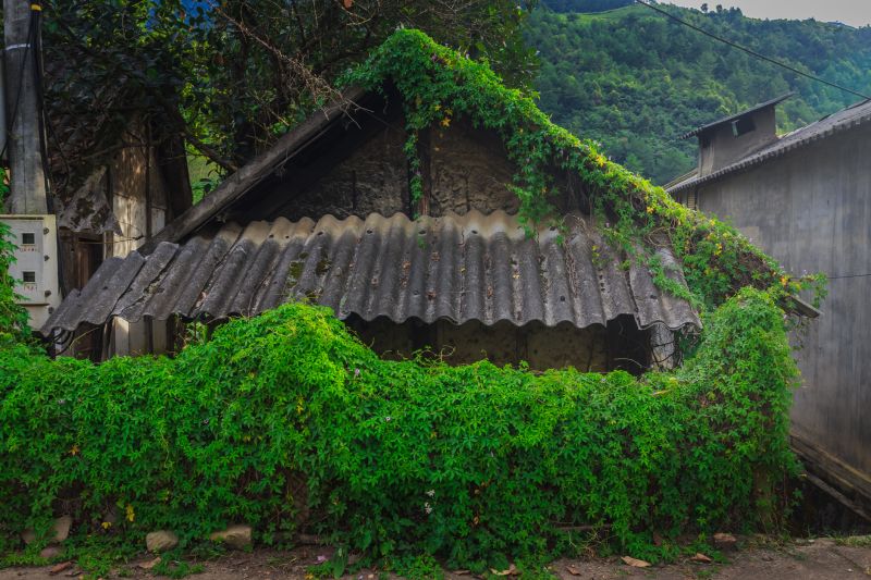 Products For Roof Eaveses in use