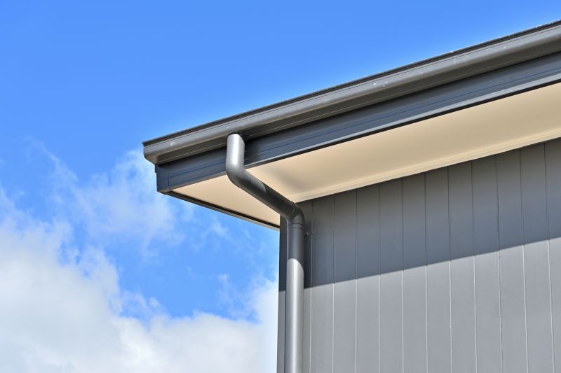 Eaveses with Gutters