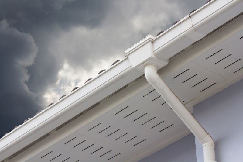Eaveses with Gutters